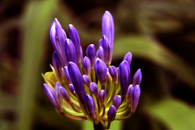 肯尼亚公开赛克鲁斯维克夺取领先 金子豪李昊桐T10.